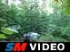 Dawson Forrest 024.avi